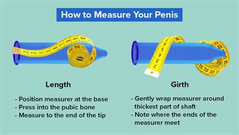 cock picture|Shown Actual Size: A Penis Shape & Size Lowdown